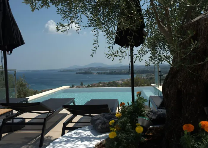 Villa Mimosa With Private Swimming Pool